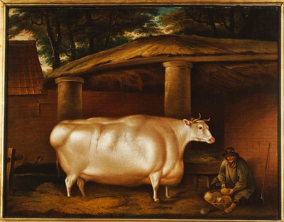 Die weiße Färse, die reiste, mit einem Mann, der Rüben in einem Stallhof schneidet von Thomas Weaver