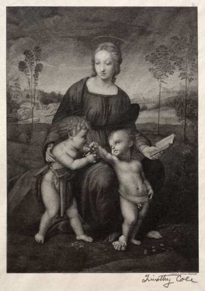 Alte italienische Meister: Die Madonna des Stieglitz, 1888-1892 von Timothy Cole