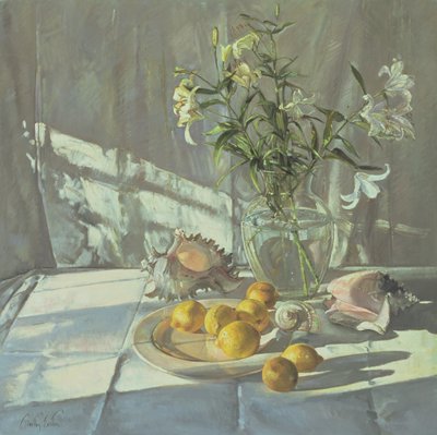 Reflexionen und Schatten von Timothy Easton