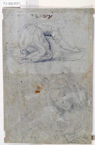 Studien der Jungfrau von Titian (c.1488 1576)