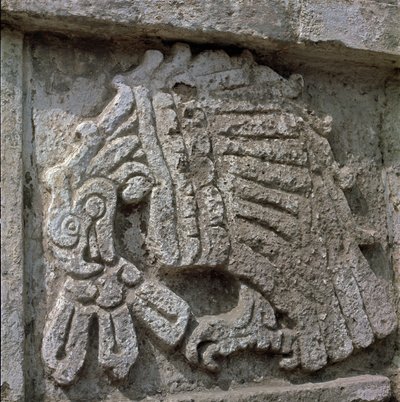 Relief eines Adlers, Tempel des Quetzalcoatl von Toltec Toltec