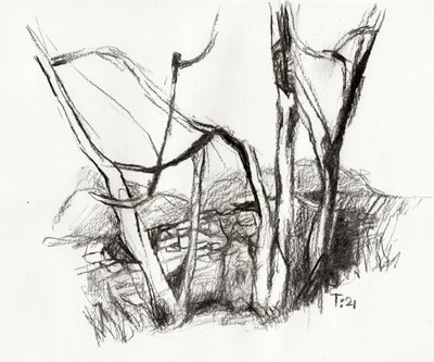 Karger Wald Skizze von Tore Bahnson
