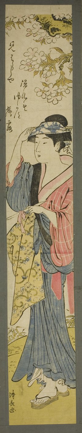 Frau betrachtet Kirschblüten von Torii Kiyonaga
