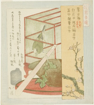 Grasmücke im Käfig, aus der Serie "Eine Serie für die Hanazono-Gruppe (Hanazono bantsuzuki)" von Totoya Hokkei