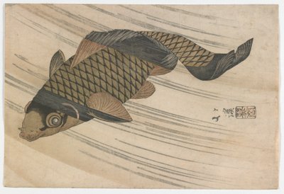 Karpfen schwimmen stromaufwärts, Edo-Periode, Mitte der 1820er Jahre von Toyota Hokkei