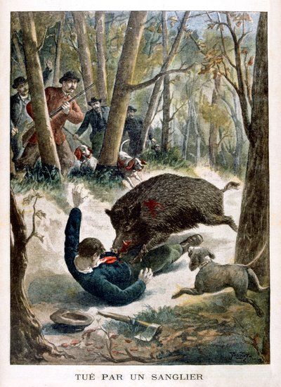 Ein Jäger von einem Wildschwein getötet, 1901 von Unbekannt