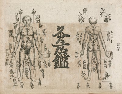 Akupunkturkarte des menschlichen Körpers, die die Punkte der Moxibustion anzeigt (Moxabustionsdiagramm, das zeigt, wo das Sengen vermieden werden sollte) von Unbekannt