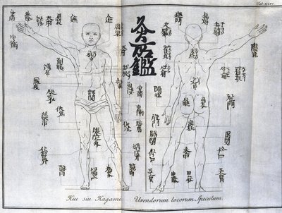 Akupunktur: Karte des menschlichen Körpers mit den Moxibustionspunkten, Japan (Karte zur Moxa, ca. 1690) von Unbekannt