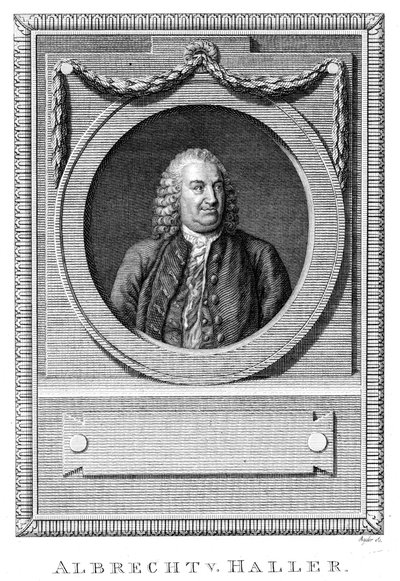 Albrecht von Haller, Schweizer Arzt und Wissenschaftler, um 1770 von Unbekannt