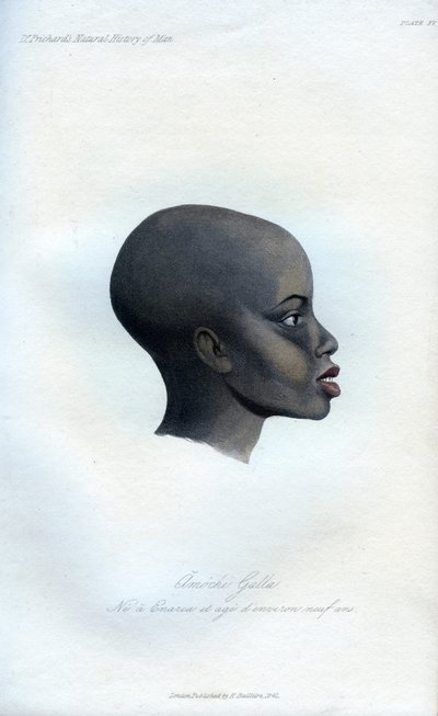 Amochi Galla, ein Porträt eines Galla, 1848 von Unbekannt