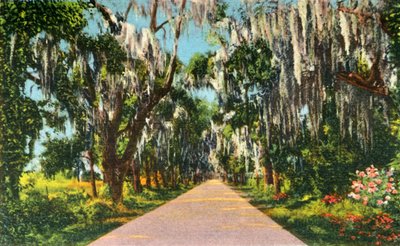 Eine verlockende Straßenszene in den Carolinas, 1942 von Unbekannt
