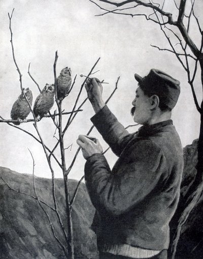 Eine originale Schützengrabendekoration, Frankreich, Erster Weltkrieg, 1915 von Unbekannt
