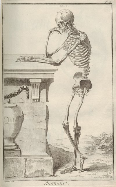 Anatomie. Aus der Encyclopédie von Denis Diderot und Jean Le Rond d