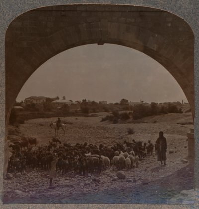 Aquädukt zeigt Jericho durch den Bogen, ca. 1900 von Unbekannt