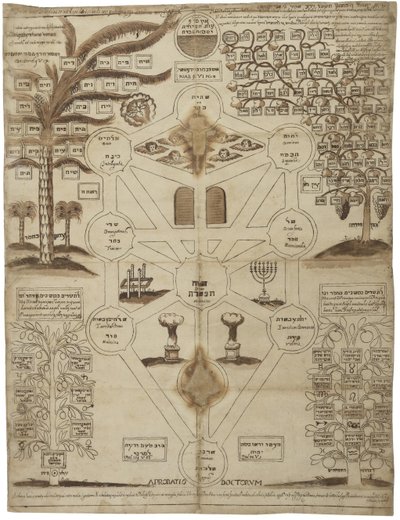 Arbor Cabalistica Kabbalistischer Baum, ca. 1625 von Unbekannt