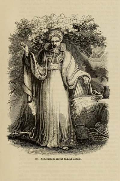 Erz-Druide in seiner vollen richterlichen Tracht aus dem Buch Old England: A Pictorial Museum, 1845 von Unbekannt