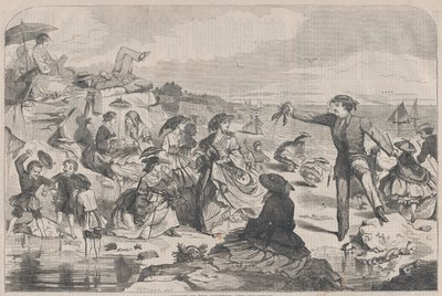 August auf dem Land - Die Küste Harper