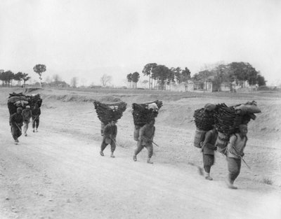 Kohlenlieferanten auf dem Weg nach Peking, China, spätes 19. oder frühes 20. Jahrhundert von Unbekannt