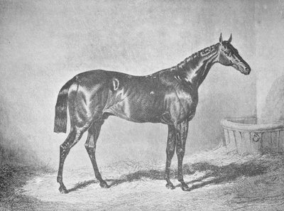 Charles XII, Gewinner des St. Leger 1839 von Unbekannt