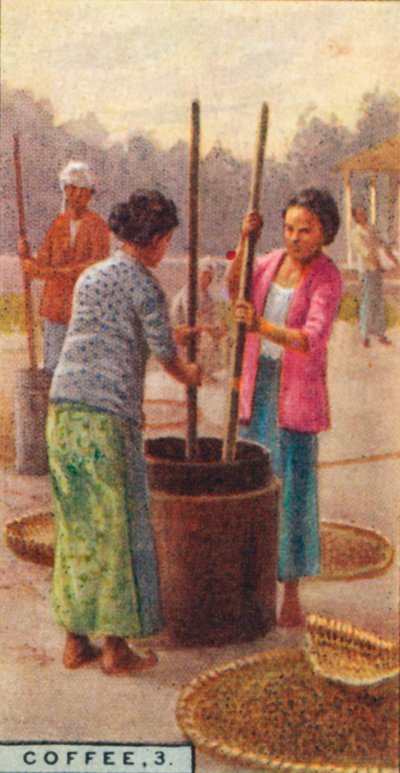 Kaffee, 3. Schälen der Bohnen, Java, 1928 von Unbekannt