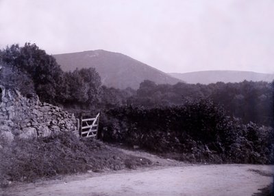 Landschaft in der Nähe von Plymouth in Devon von Unbekannt