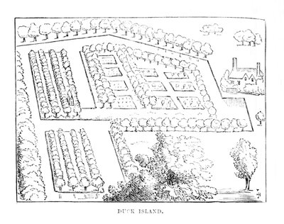 Duck Island, um 1870 von Unbekannt
