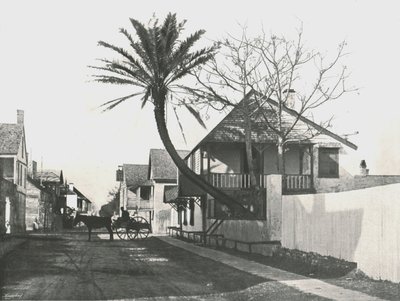 Francis Street, St. Augustine, USA, 1895 von Unbekannt