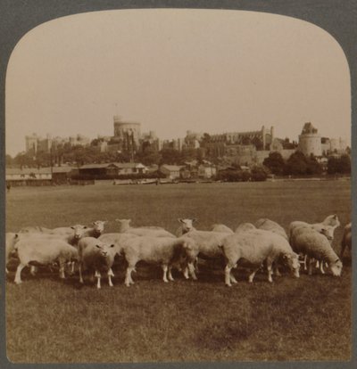 Gesamtansicht von Windsor Castle, England, 1896 von Unbekannt