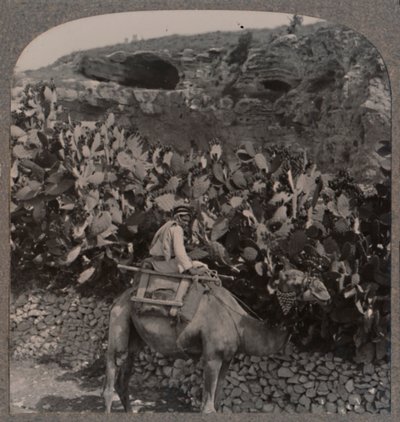 Golgatha Der Ort des Schädels, um 1900 von Unbekannt
