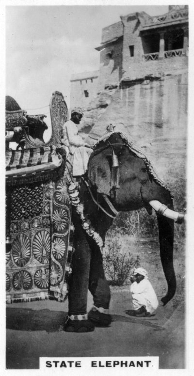 Staatselefant in Kostüm, Südindien, ca. 1925 von Unbekannt