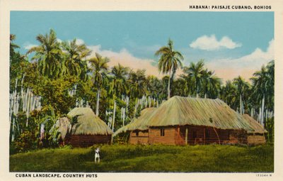 Habana: Kubanische Landschaft, Landhütten, ca. 1910 von Unbekannt