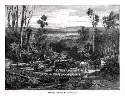 Holztransport, Australien, 1877 von Unbekannt