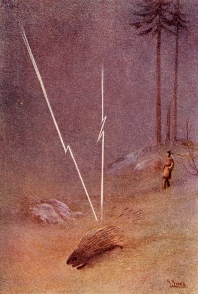 Er nahm plötzlich die Gestalt eines gigantischen Stachelschweins an, 1914 von Unbekannt
