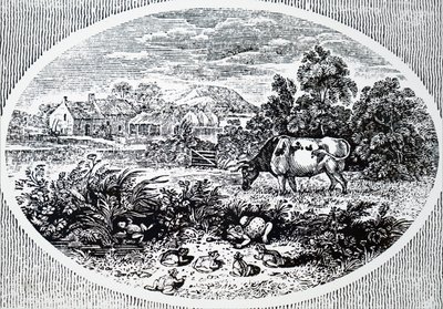 Kopfstück von Thomas Bewick von Unbekannt