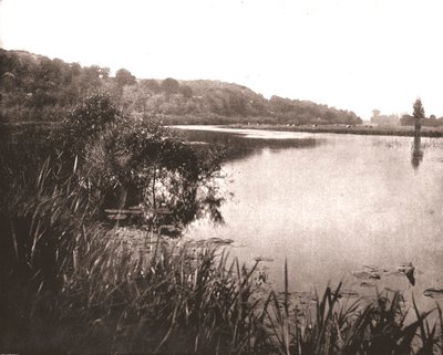 Hurley Reach, Fluss Themse zwischen Bisham und Medmenham, Buckinghamshire, 1894 von Unbekannt