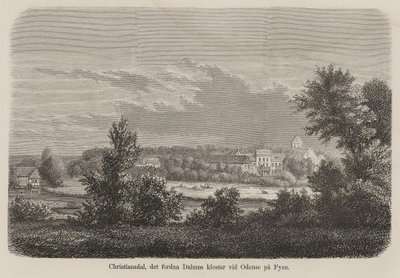 Illustration aus dem Buch Nordiska taflor von unbekanntem Autor und veröffentlicht von Albert Bonnier von Unbekannt