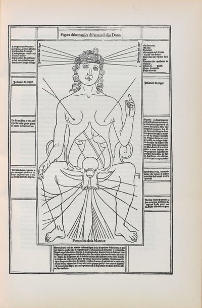 Illustration aus Fasciculo di medicina von Johannes de Ketham, 1493 von Unbekannt