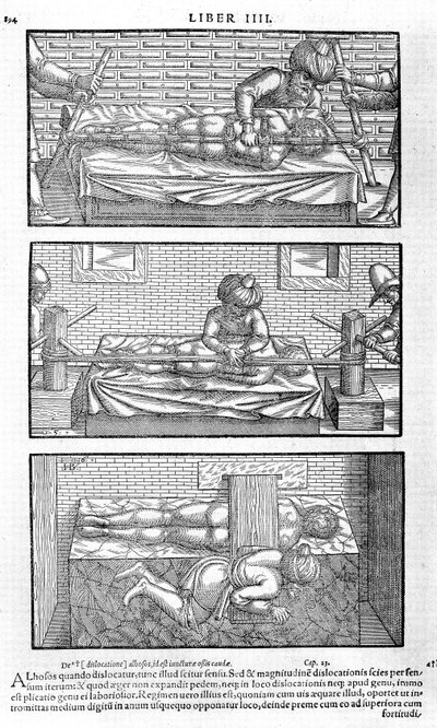 Illustration aus Liber canonis de medicinis cordialibus von Avicenna, 1556 von Unbekannt
