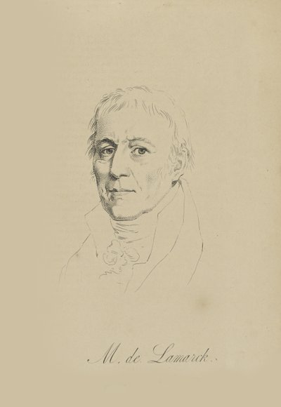 Jean-Baptiste Pierre Antoine de Monet, Chevalier de Lamarck 1744-1829, ca. 1810 von Unbekannt