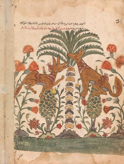 Kalila tadelt Dimna, Folio aus einem Kalila wa Dimna, 18. Jahrhundert von Unbekannt