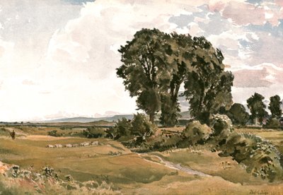 Landschaft, in der Nähe von Wareham, Dorset - eine Freiluftskizze, um 1900 von Unbekannt