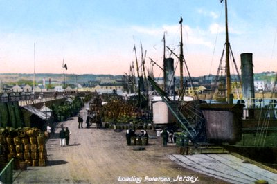 Kartoffeln verladen, Jersey, 1908 von Unbekannt