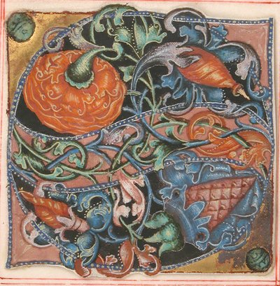 Manuskript-Illumination mit Initiale S, aus einem Chorbuch, 16. Jahrhundert von Unbekannt