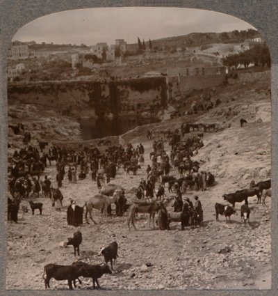 Markttag am Teich von Gihon, ca. 1900 von Unbekannt