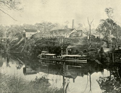 Fleischwerke, in der Nähe von Grafton, New South Wales, 1901 von Unbekannt