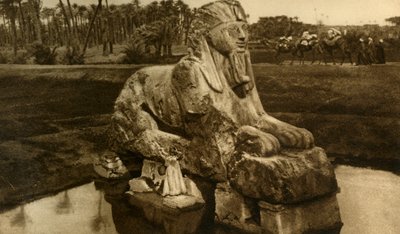 Memphis - Die Alabaster-Sphinx, ca. 1918-1939 von Unbekannt