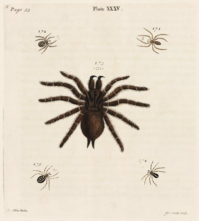 Mikroskopie von Unbekannt