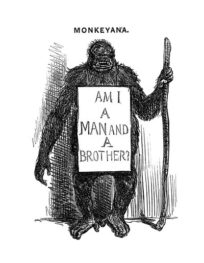 Monkeyana: Bin ich ein Mensch und ein Bruder, 1861 von Unbekannt