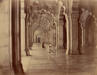 Moti Masjid: Perlenmoschee im Inneren des Forts Agra von Unbekannt