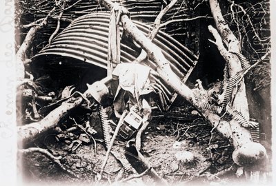 Am Chemin des Dames, Nordfrankreich, ca. 1914-1918 von Unbekannt